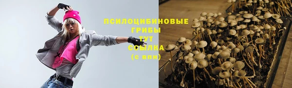спайс Беломорск